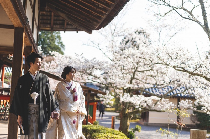 春爛漫!桜撮影【京都の寺院と菜の花2ヶ所コース】和装1着2ヶ所桜美しい寺院+菜の花どちらも撮影プラン