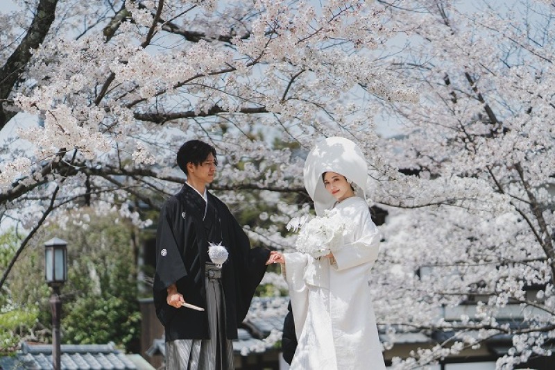 お年玉企画第二段！桜和装【1/28～2/3応募期間】桜和装撮影￥55000（税込）で撮影ができる！