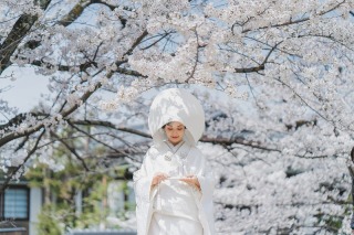 【3月～5月撮影】★春photoキャンペーン★和装1着1ヵ所ロケーション新作以外全てのお着物オプション料金￥０でセレクト可！ 