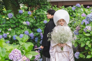 【6月7月撮影】紫陽花フォトプラン｜和装1着1ロケーション寺院申請料金付き｜寺院に咲く紫陽花と一緒に撮影ができる