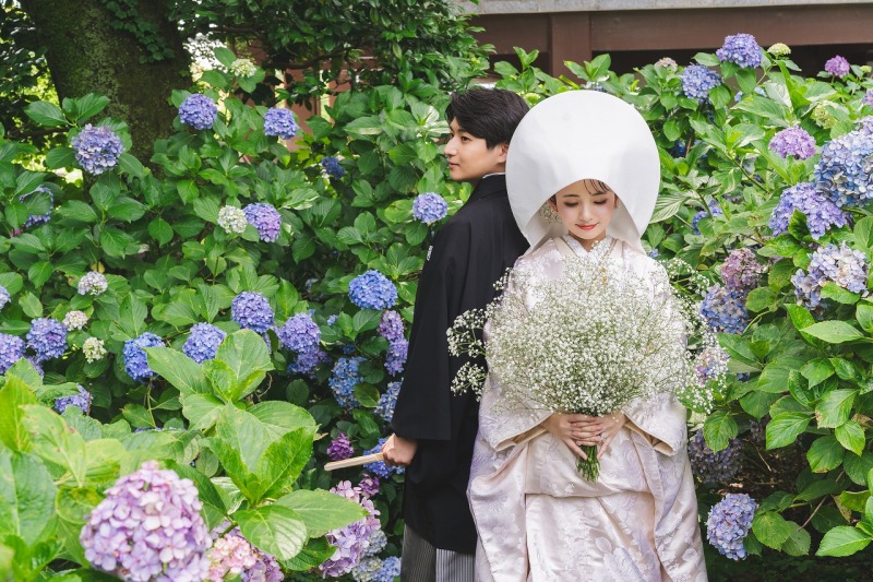 【6月7月撮影】紫陽花フォトプラン｜和装1着1ロケーション寺院申請料金付き｜寺院に咲く紫陽花と一緒に撮影ができる