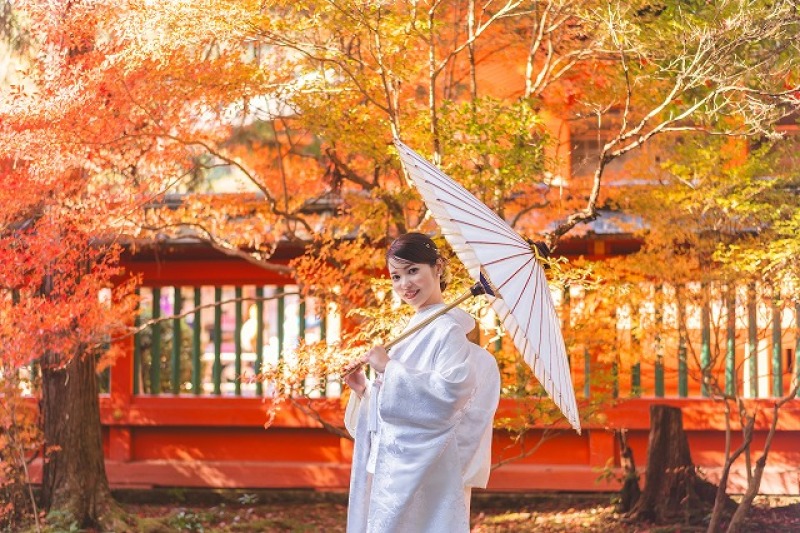 【11月1日~12月7日撮影の方】紅葉キャンペーン《和装1着1か所》お着物ランクアップ無しで嬉しい秋のプラン
