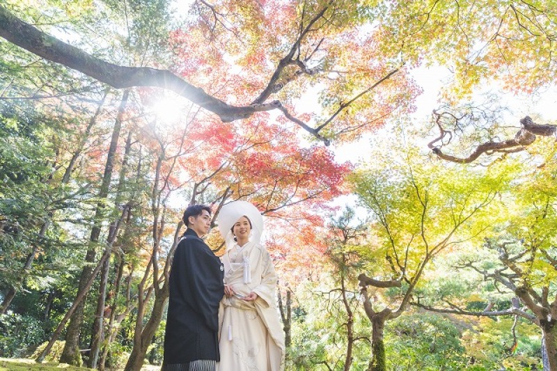 【11月1日~12月7日撮影の方】紅葉キャンペーン《和装1着1か所》お着物ランクアップ無しで嬉しい秋のプラン
