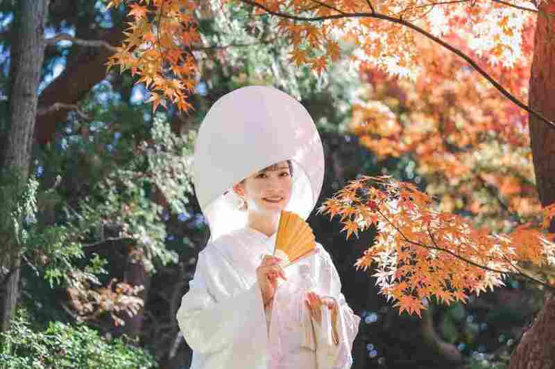【11月1日~12月14日撮影限定】紅葉特割キャンペーン【10月末までの申込み】紅葉ロケーション&スタジオプラン《和装洋装2着》
