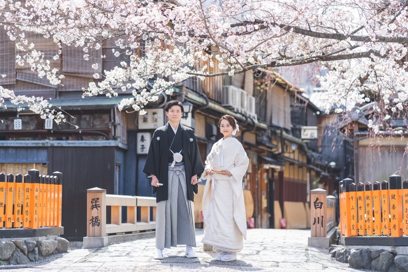 桜前撮り好評につき｜3/30～4/5　6日間限定　残り1枠｜￥88,000