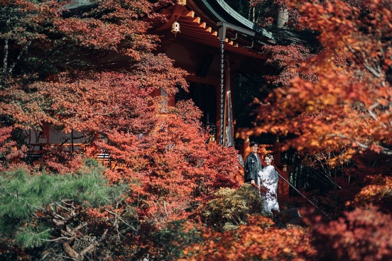 【11月~12月10日撮影】紅葉前撮り早割プラン|和装1着1ロケーション|土日祝50%OFF|8月末まで受付