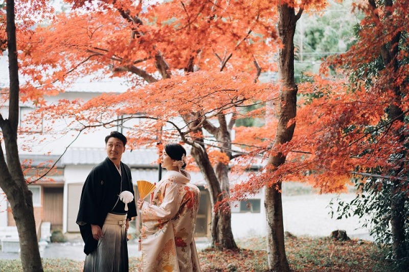 【11月20日~12月10日撮影】洋装&和装紅葉前撮り最終早割プラン|土日祝50%OFF|9月末まで受付