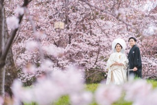 【3/1～4/10撮影限定】桜早割キャンペーン【早期申込みが◎】桜ロケーション&スタジオフォトプラン《和装洋装2着》