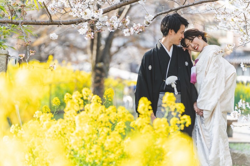 春爛漫!桜撮影【京都の寺院と菜の花2ヶ所コース】和装1着2ヶ所桜美しい寺院+菜の花どちらも撮影プラン