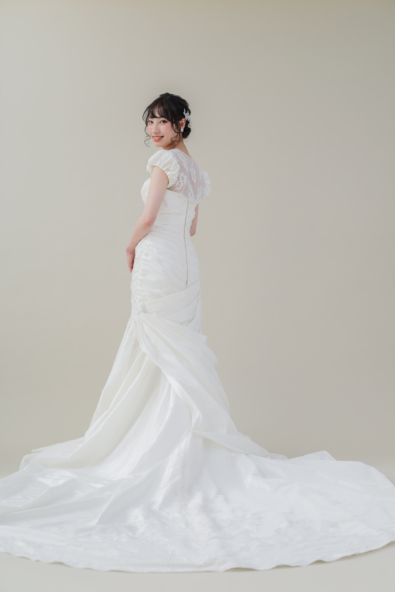 WD-2061