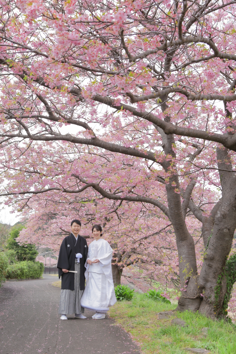 きれいなピンク