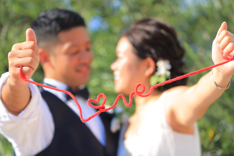 思いっきり楽しんで！