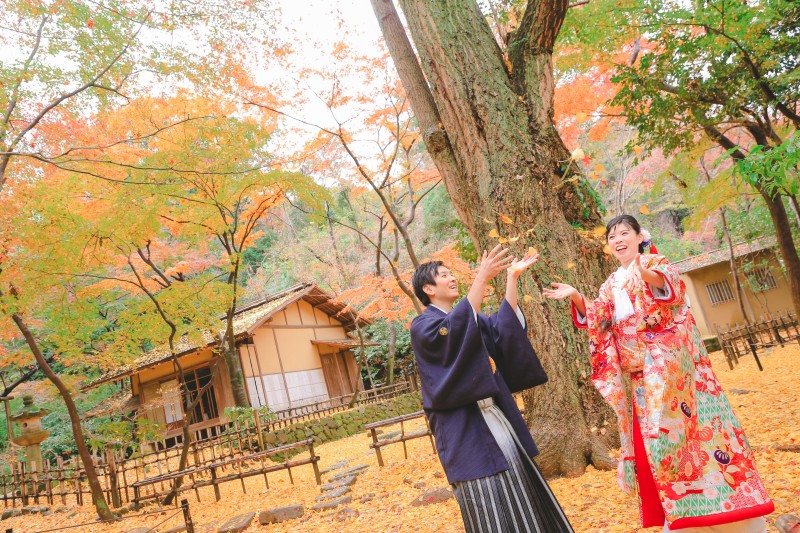 イチョウのじゅうたん