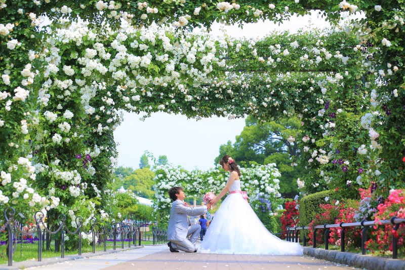 プロポーズのような1枚も♡