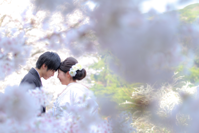 満開の桜の中で楽しく撮影できました♪