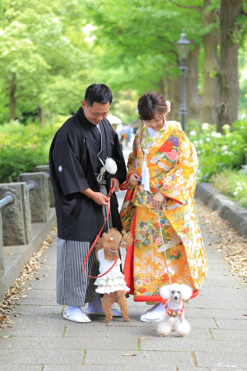 みんなで仲良くお散歩ショット