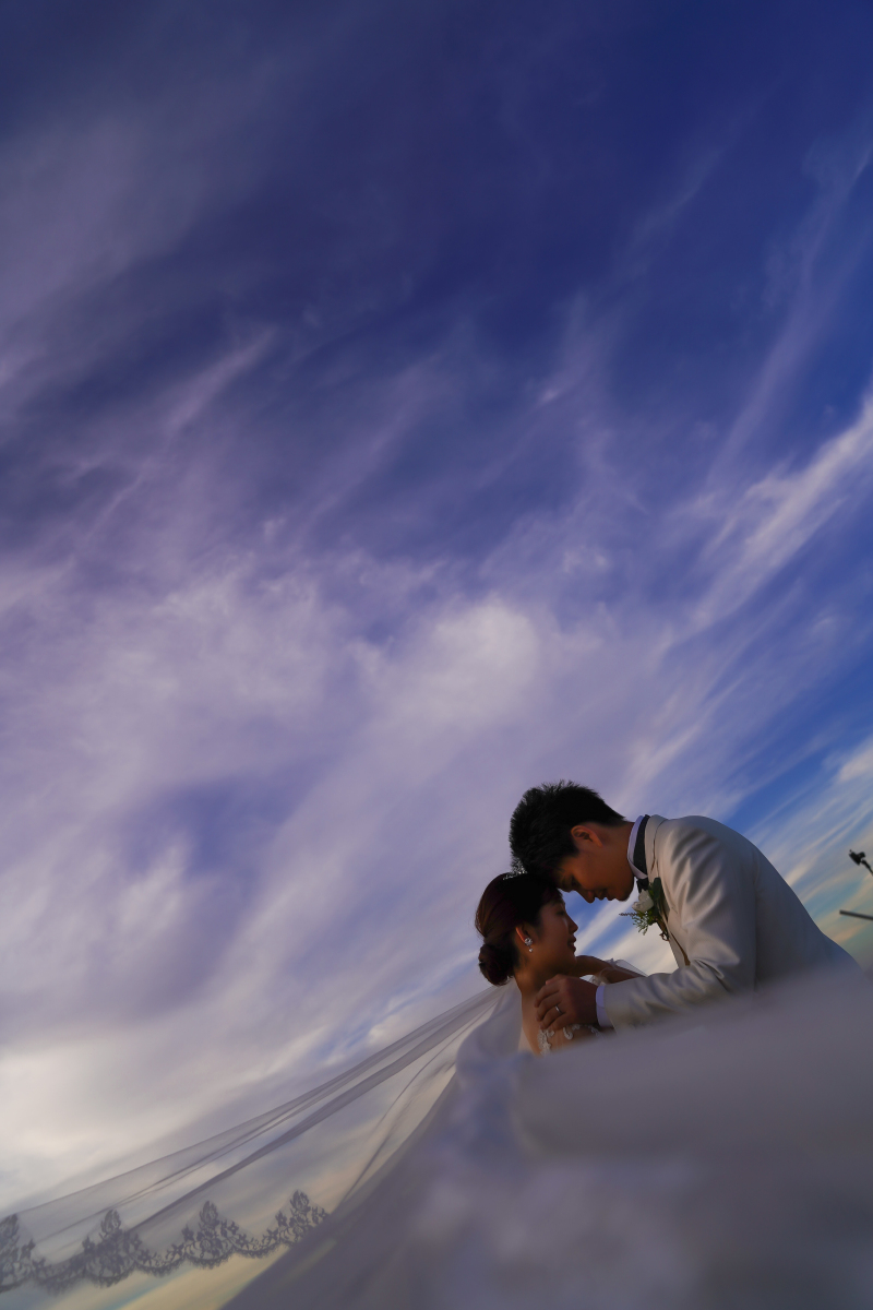 ベールショット