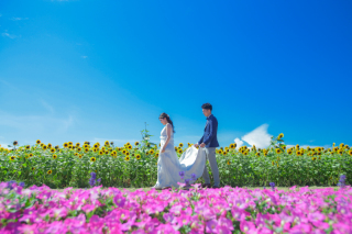 ソレイユの丘ロケーション撮影