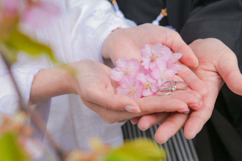 花びらと一緒に