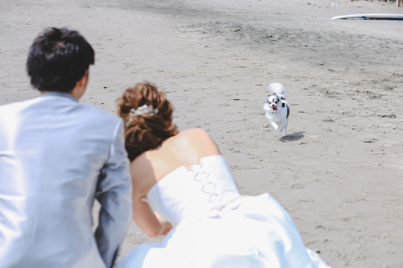 ペットと楽しく!