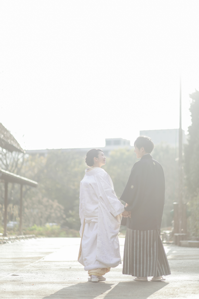 優しい日の光の中で