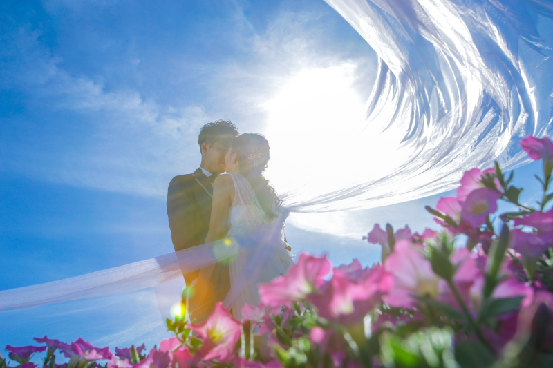 大人気ベールショットを