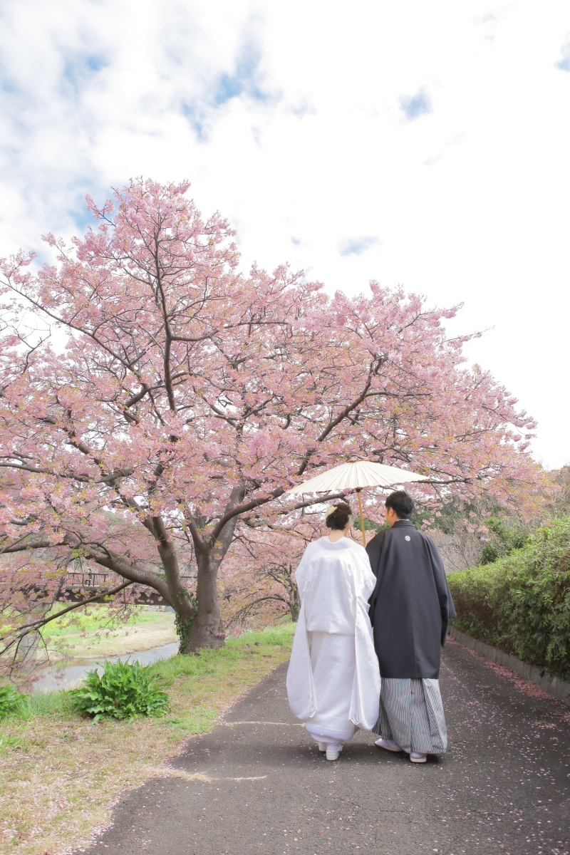 河津桜ロケーション！！