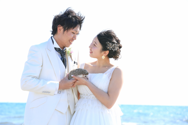 ペットのハリネズミさんと一緒に♪