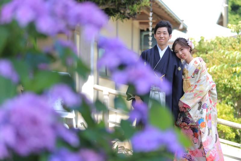 念願の紫陽花ショット!