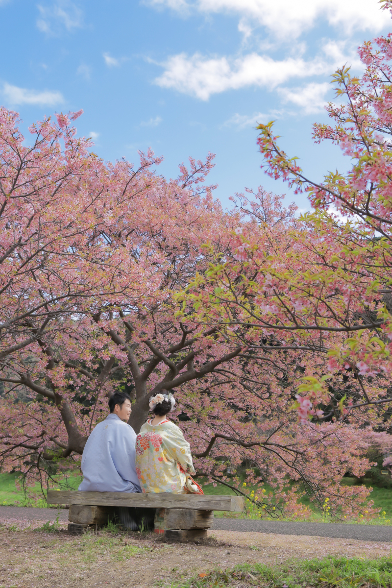 色打掛でイメージチェンジ!