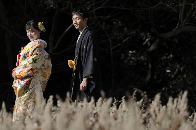 日差しが差し込む森の中で