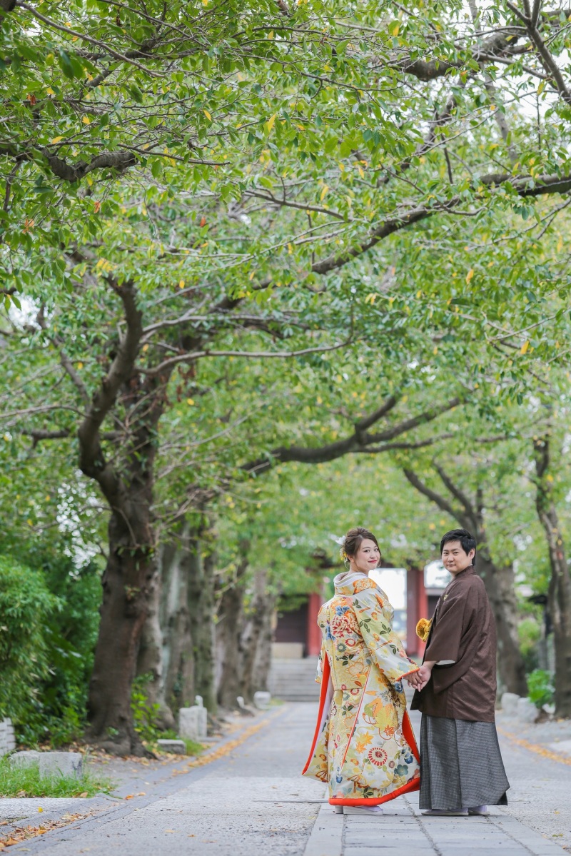 柔らかな並木にて