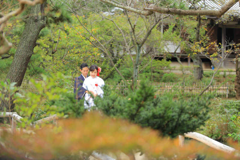 緑に囲まれて*。