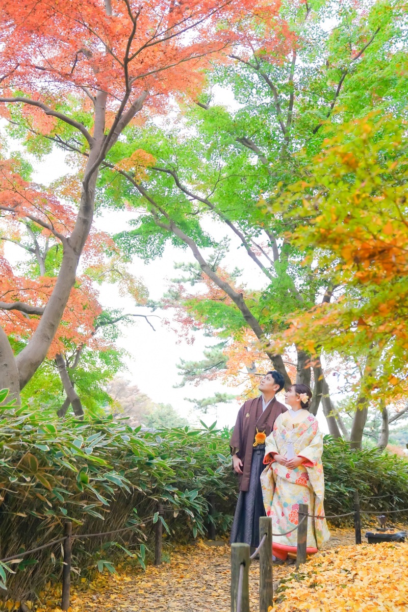 鮮やかな自然の風景と