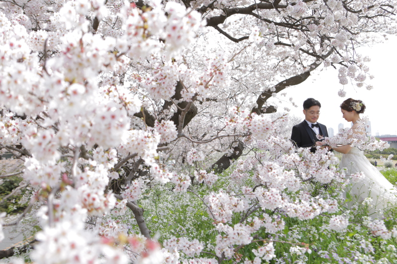 素敵なお2人と、楽しい撮影でした。