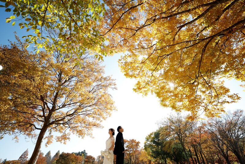 【紅葉ロケ】10月~12月撮影(9月末迄の申し込みで早割)紅葉キャンペーンAプラン◆衣装代込み、100カット付き¥149,000