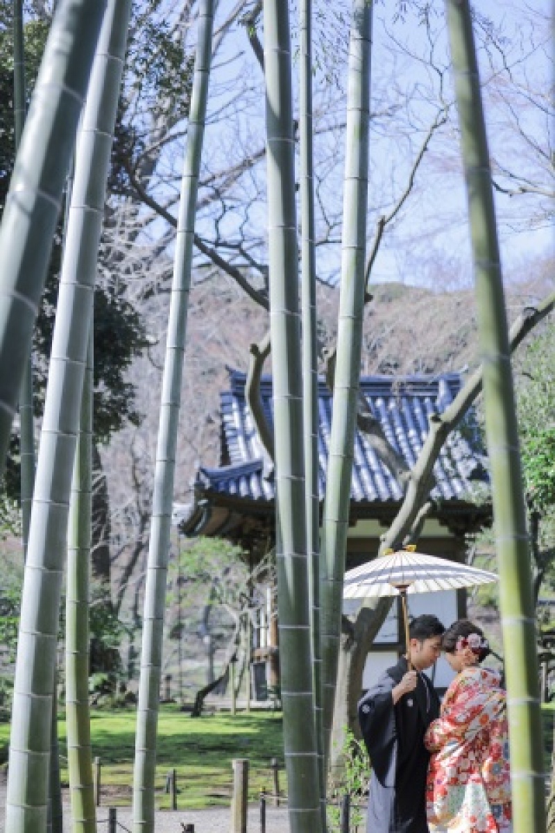 【Photorait限定】11月末迄三溪園ロケーション+和室スタジオ撮影【白無垢+色打掛衣裳追加料金無し・データ80カット付】