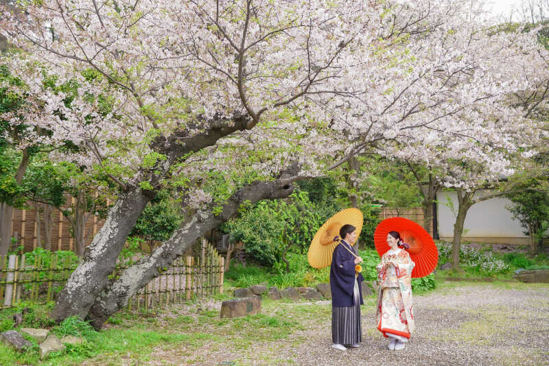 【早い者勝ち】桜早割プラン◆¥39,000でデータ10カット付き