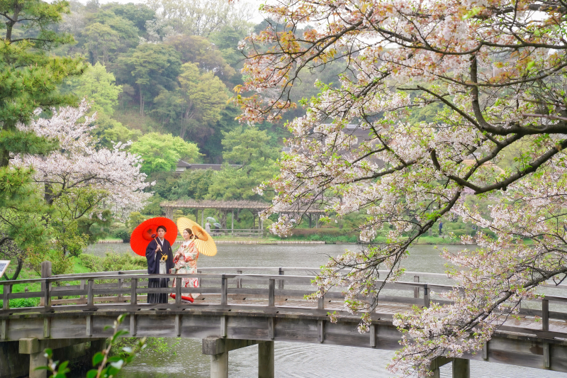 【早い者勝ち】桜早割プラン◆¥39,000でデータ10カット付き