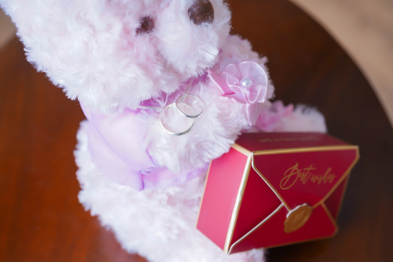 持ち込みのお品物と