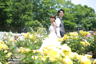 柔らかな陽の光に包まれて…