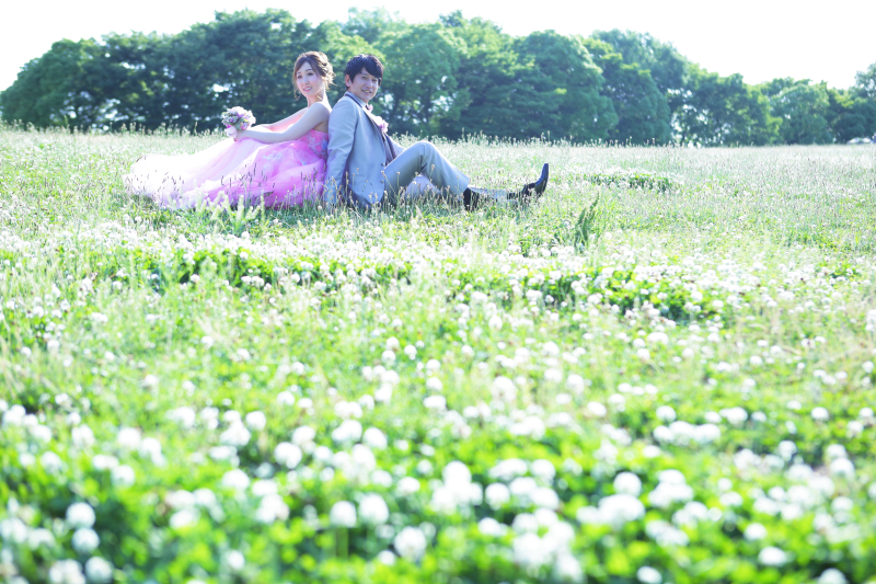 シロツメクサのじゅうたん！