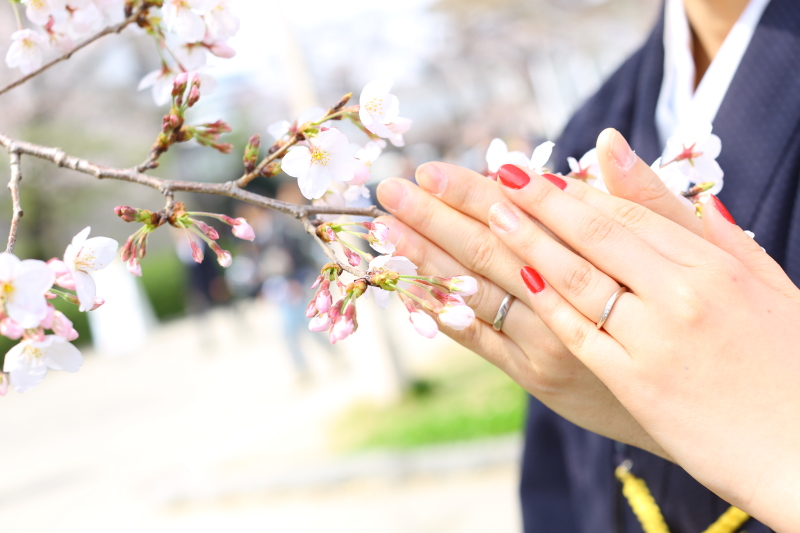 桜と一緒に