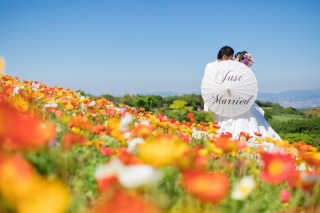 たくさんのお花ロケーション！