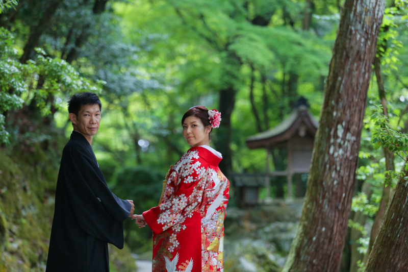 新緑がとても良い季節です*