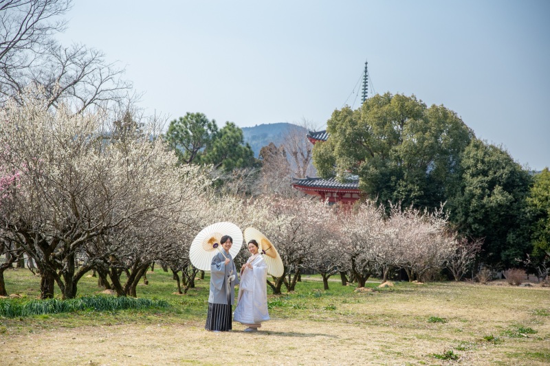 大覚寺の素敵な梅苑にて