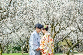 京都周遊梅撮影