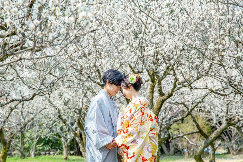 京都周遊梅撮影