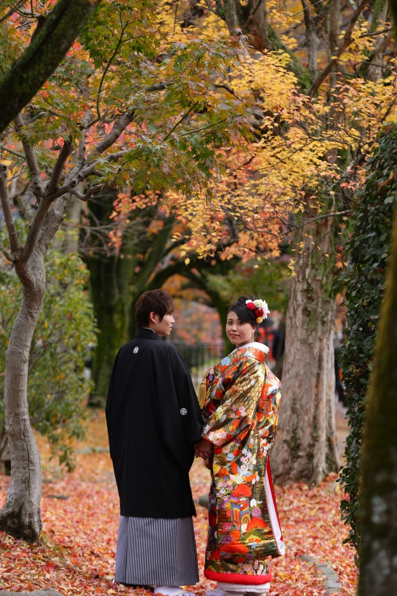 着物もドレスも