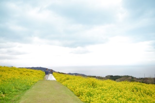 遠くひろがる景色と